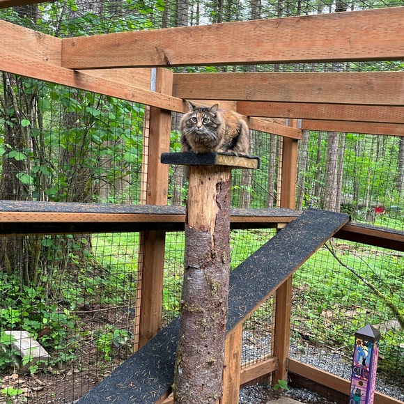 Meet your Posher, Brenda - Picture 11 of 13